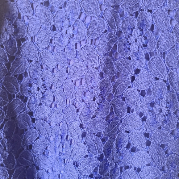 T Tahari Indigo Sheer Floral Embroidered Long Sleeve Button Up Top Size Medium - Picture 4 of 10
